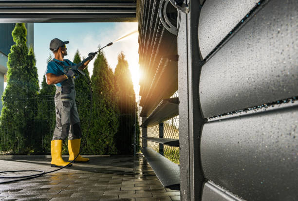 Best Gutter Cleaning  in Ludington, MI