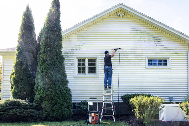Best Building Exterior Washing  in Ludington, MI
